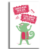 Student Chapbooks
