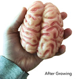 Swell Polymer Brain