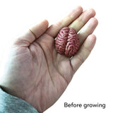 Swell Polymer Brain